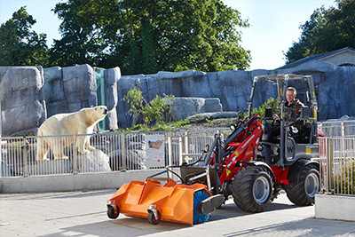Zoo & animal park